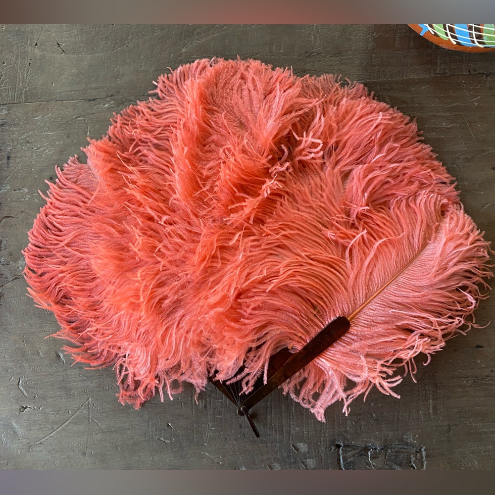 1920s Ostrich Fan with Tortoise Shell? frame